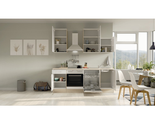 Keukenblok met vaatwasser, fornuis, afzuigkap en hangkasten in een lichte keuken.