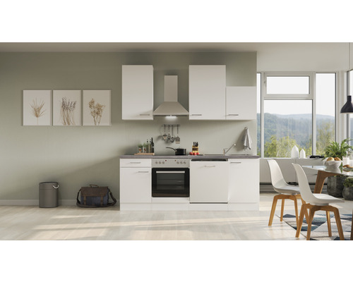 FLEX WELL Keukenblok Varo wit 220x60 cm Moderne inbouwkeuken met hangkasten, afzuigkap, fornuis, vaatwasser en gootsteen