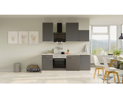 FLEX WELL Keukenblok Tiago basaltgrijs 220x60 cm Volledige keuken met boven- en onderkasten, afzuigkap, spoelbak, fornuis en vaatwasser in een heldere ruimte