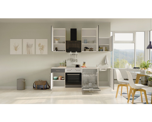 Moderne keuken met vaatwasser, fornuis, afzuigkap en hangkasten.