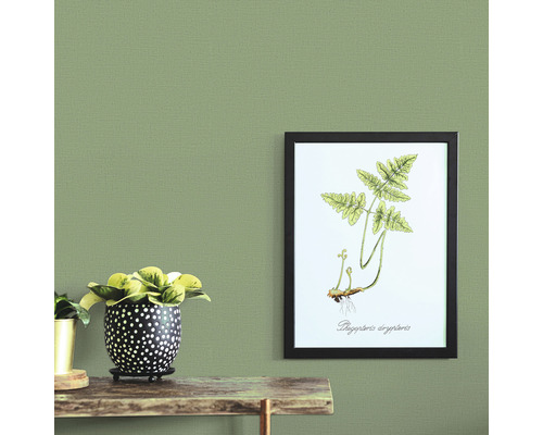 Scene met plant in pot en ingelijste plantenafbeelding aan de muur