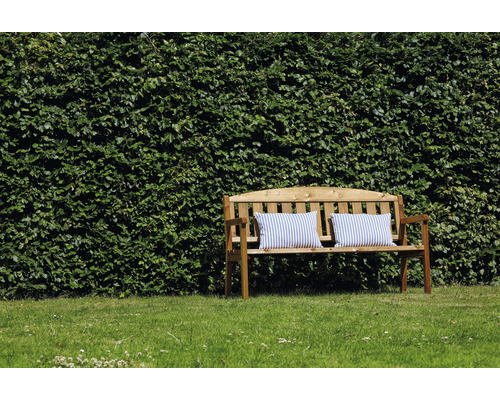 Houten bank met kussens voor een groene haag in de tuin