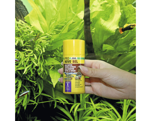 Een hand houdt een pot JBL NovoBel visvoer vast voor een aquarium.