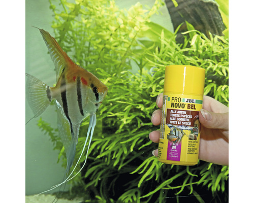 Aquarium met siervis en blik visvoer