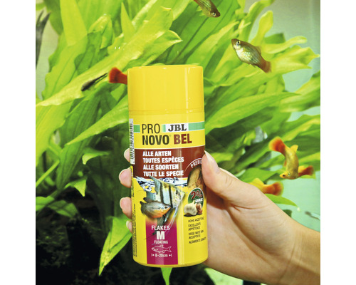 JBL NovoBel visvoer voor alle vissoorten