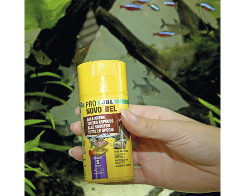 JBL NovoBel visvoer in hand voor aquarium