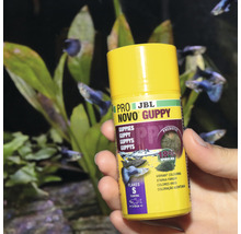 JBL Novo Guppy Pro Visvoer voor Guppy''s