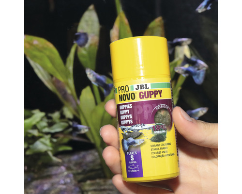JBL Novo Guppy Pro Visvoer voor Guppy''s