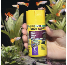 JBL Pro Novo Guppy visvoerpot in hand voor aquarium