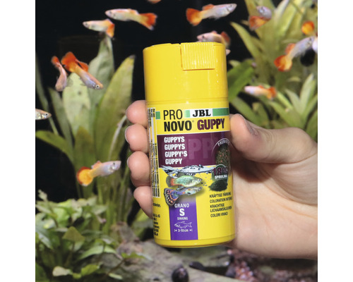 JBL Pro Novo Guppy visvoerpot in hand voor aquarium