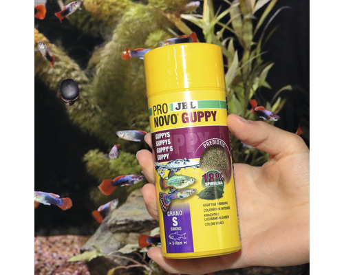 JBL Novo Guppy visvoer in verpakking