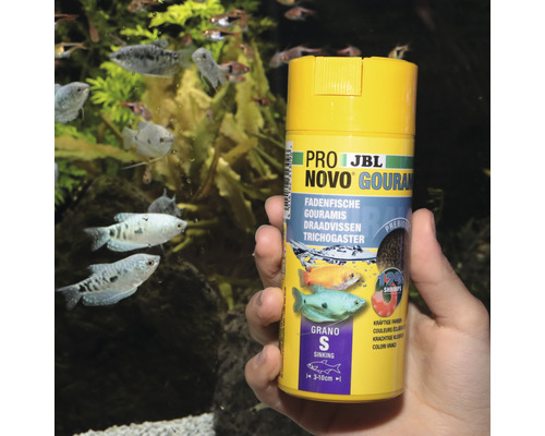 JBL Pro Novo Gourami visvoerbus voor aquarium