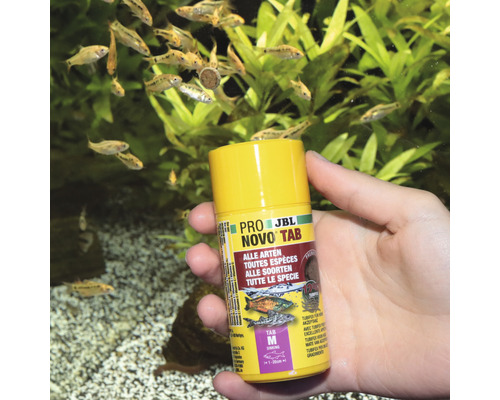 JBL Novo Tab M voedertabletten voor vissen in de hand voor aquarium