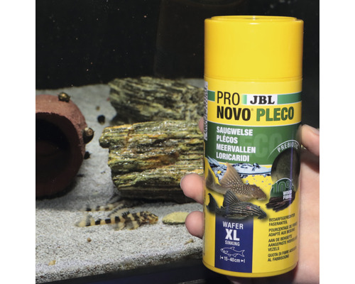 JBL Novo Pleco Welsfutter Tablet XL