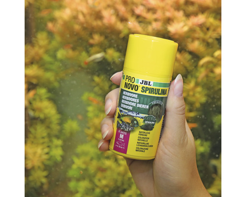 JBL Pro Novo Spirulina visvoer voor herbivoren in gele verpakking