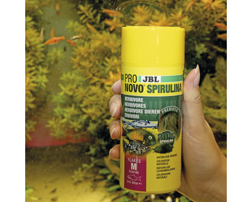 JBL Novo Spirulina visvoer voor herbivoren