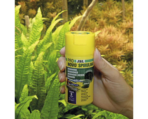 JBL Pro Novo Spirulina visvoer voor plantenetende siervissen