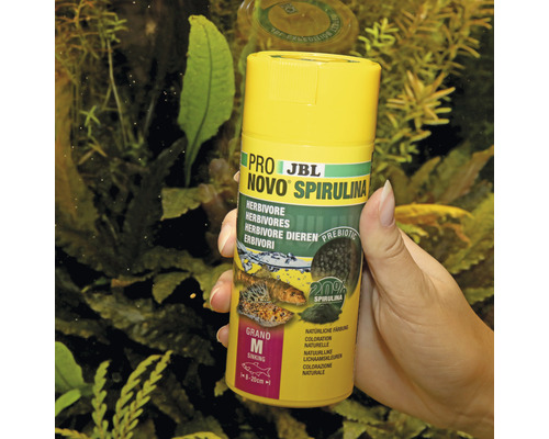 JBL Novo Spirulina visvoer voor herbivore vissen
