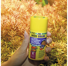 JBL ProNovo Color Visvoer vlokken M 100 ml