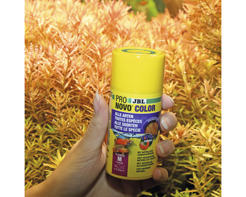 JBL Pro Novo Color Visvoer blik in de hand