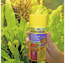 JBL ProNovo Color Visvoer vlokken M 250 ml