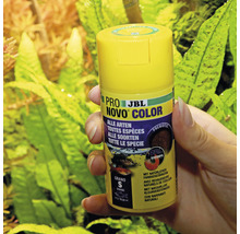 JBL Pro Novo Color visvoer blik