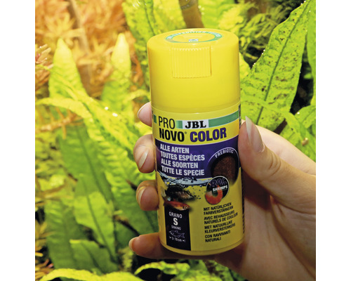 JBL Pro Novo Color visvoer blik