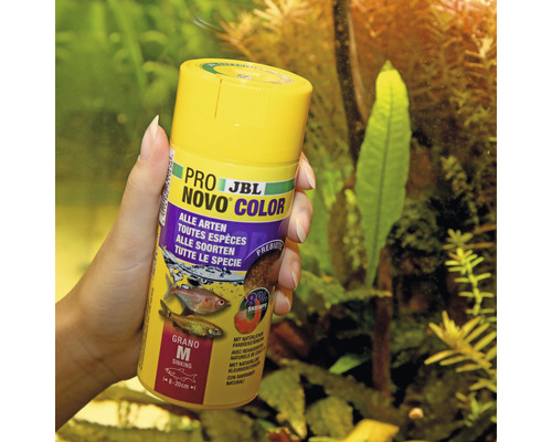 JBL Pro Novo Color visvoercontainer in de hand