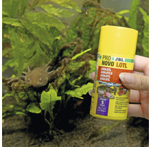 JBL Pro Novo Lotl axolotl voederblik in aquarium