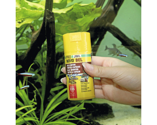 Persoon houdt blik JBL Pro Novo Bel visvoer voor aquarium