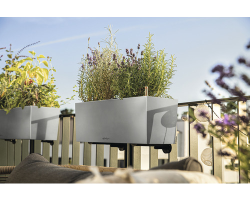 Balkonscène met kruiden en planten in een grijze bloembak met beugel