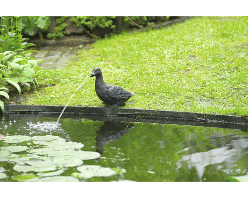 Decoratieve tuin fonteinfiguur in de vorm van een eend aan de rand van de vijver.