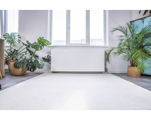 Lichte kamer met kamerplanten, radiator en een vloerkleed