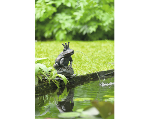 Tuinbronfiguur kikker met kroon aan een tuinvijver