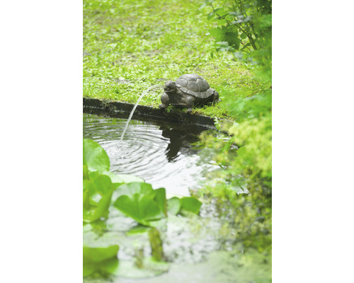 Decoratief tuinschildpadbeeld als waterspuwer voor de tuinvijver