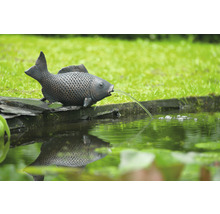 Decoratieve visfiguur als waterspuwer voor de tuinvijver