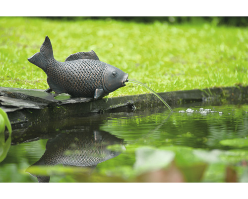 Decoratieve visfiguur als waterspuwer voor de tuinvijver