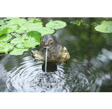 Decoratieve otter tuin fontein figuur in vijver met waterlelies