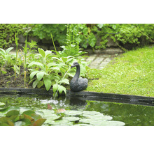 Zwaan fonteinbeeld bij de tuinvijver