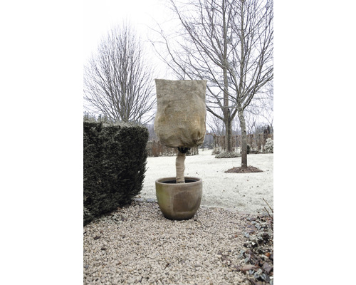 Geplante boom met winterbeschermingszak in een tuin