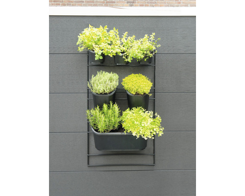Wandrek met kruiden in potten voor de tuin