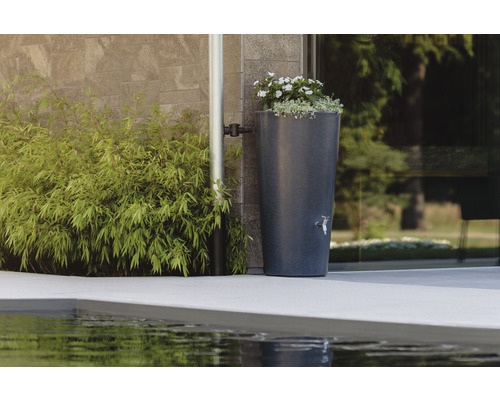 Regenwatertank met beplanting naast een regenpijp aan een gevel