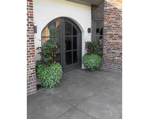 Entree met bestrating, deur en beplanting