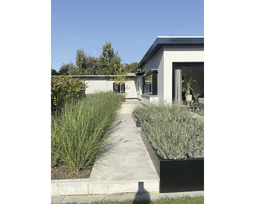 Tuinpad met siergrassen en plantenbakken voor een modern huis