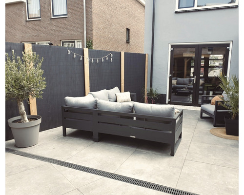 Moderne tuin met loungemeubels, privacyscherm en olijfboom in pot