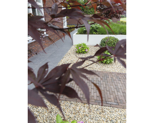 Tuinscene met grind, planten en straatstenen