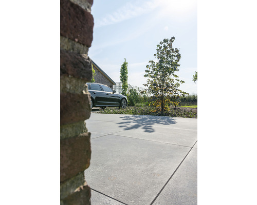 Bestrate oprit met auto en boom