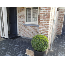 Entree van een huis met bestrating, bakstenen muur, voordeur en een ronde buxus in een pot