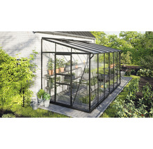 Tuinkas met planken, planten en tuingereedschap in de tuin