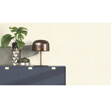 Decoratieve kamerplant in een zilverkleurige vaas, cactus in een pot en tafellamp op een kast